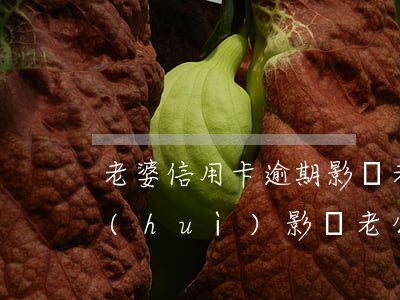 老婆信用卡逾期影響老公車貸嗎(老婆逾期會(huì)影響老公貸款買車嗎)