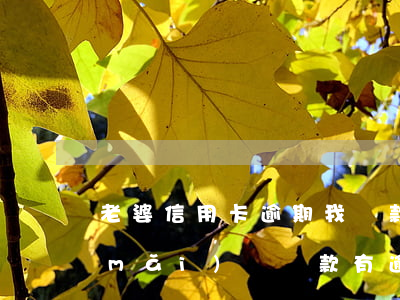 老婆信用卡逾期我貸款買(mǎi)車(買(mǎi)車貸款有逾期)