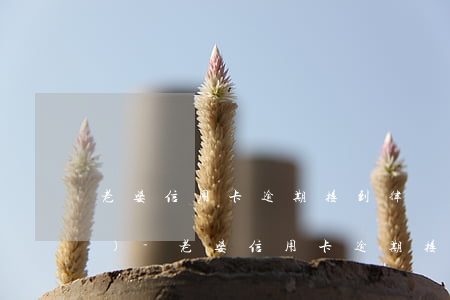 老婆信用卡逾期接到律師起訴電話(huà)-老婆信用卡逾期接到律師起訴電話(huà)怎么辦