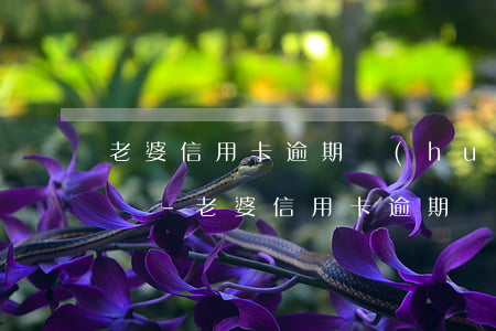 老婆信用卡逾期會(huì)影響老公征信嗎-老婆信用卡逾期會(huì)影響老公征信嗎知乎