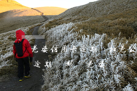 老婆信用卡逾期會扣老公卡嗎(老公的信用卡逾期會影響老婆嗎)