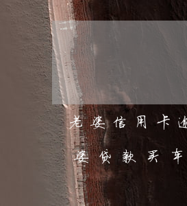 老婆信用卡逾期车贷不通过(我信用卡逾期老婆贷款买车)