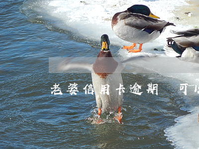 老婆信用卡逾期還可以房貸嗎