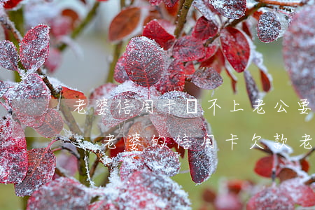 老婆信用卡還不上老公要承擔(dān)嗎-老婆的信用卡欠款,老公要還嗎