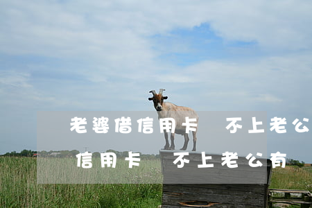 老婆借信用卡還不上老公有責任嗎-老婆借信用卡還不上老公有責任嗎怎么辦