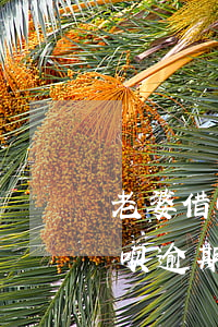 老婆借呗逾期影响老公用网商贷吗-老婆借呗逾期影响老公用网商贷吗知乎