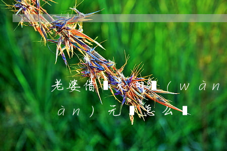 老婆借唄欠四萬(wàn)(欠借唄4萬(wàn)元該怎么辦)