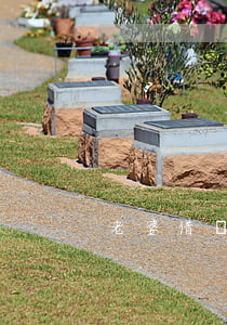 老婆借唄欠四萬(欠借唄4萬元該怎么辦)