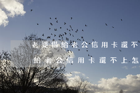 老婆借給老公信用卡還不上怎么辦-老婆借給老公信用卡還不上怎么辦呢