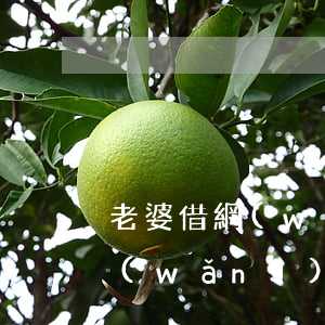 老婆借網(wǎng)貸欠20多萬(老婆網(wǎng)貸20萬還不上怎么辦)