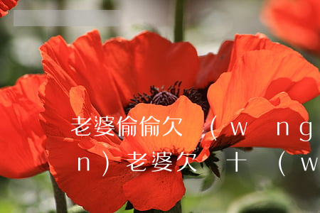 老婆偷偷欠網(wǎng)貸20萬(wàn)(老婆欠幾十萬(wàn)網(wǎng)貸,我該怎么辦)