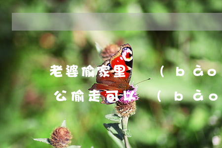 老婆偷家里錢報(bào)警有用嗎(錢被老公偷走可以報(bào)警嗎)
