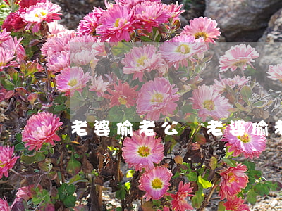 老婆偷老公錢(老婆偷老公錢包里的錢)