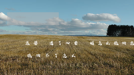 老婆傷透了心要離婚怎么挽回(老婆傷透了心挽回不了怎么辦)