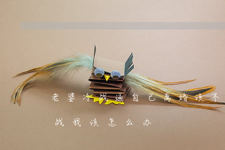 老婆冷战逼自己离婚该不该放弃(老婆一直冷战,我该怎么办)