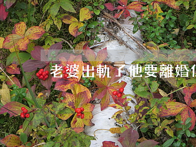 老婆出軌了他要離婚但是我不同意怎么辦