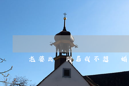 老婆出軌同居我不想離婚怎么辦