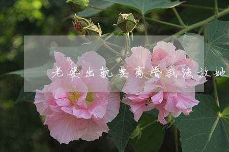 老婆出轨要离婚我该放她走吗