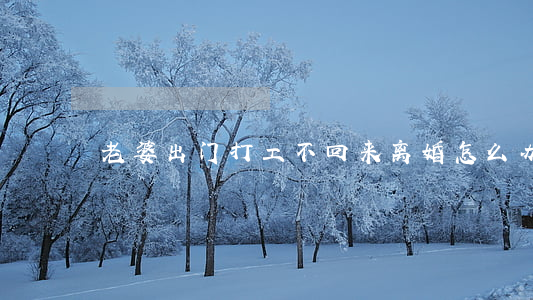 老婆出门打工不回来离婚怎么办