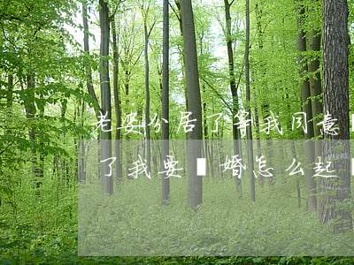 老婆分居了等我同意離婚(和老婆分居一年多了我要離婚怎么起訴)