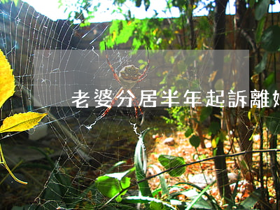 老婆分居半年起訴離婚怎么辦