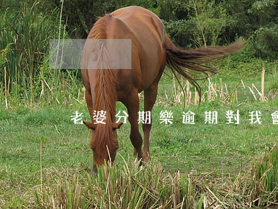 老婆分期樂逾期對我會有影響嗎-