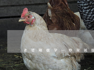 老婆剛懷孕一吵架就提離婚