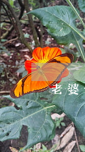 老婆十五年了離婚怎么辦