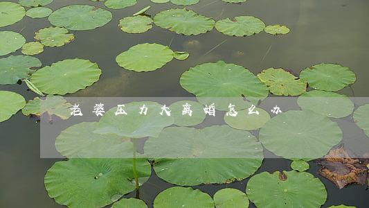 老婆压力大离婚怎么办