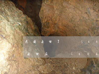 老婆去世了財產(chǎn)怎么繼承(老婆去世后遺產(chǎn)怎么繼承)