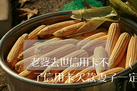 老婆去世信用卡不還會(huì)怎樣(人死了信用卡欠款妻子一定要還嗎)