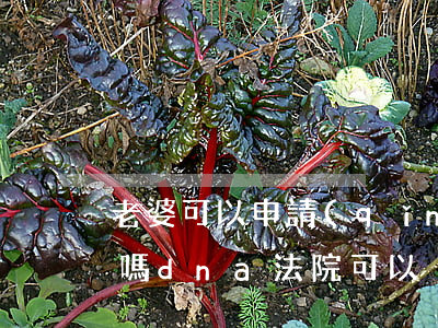 老婆可以申請(qǐng)法院dna鑒定嗎(dna法院可以強(qiáng)制要求鑒定嗎)