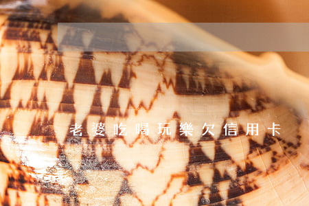 老婆吃喝玩樂欠信用卡