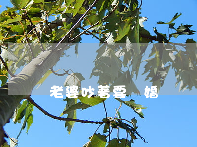 老婆吵著要離婚