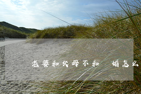 老婆和父母不和離婚怎么辦