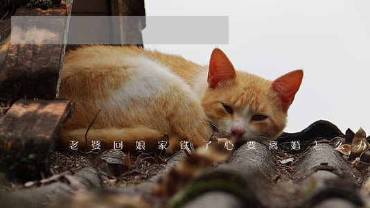老婆回娘家铁了心要离婚怎么办