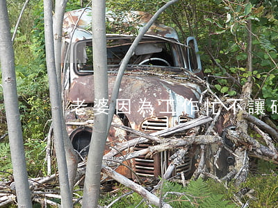 老婆因為工作忙不讓碰導致離婚
