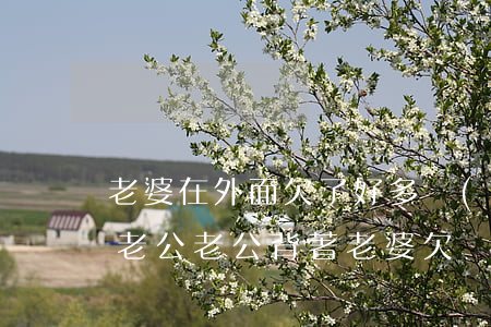 老婆在外面欠了好多網(wǎng)貸瞞著老公(老公背著老婆欠網(wǎng)貸60萬)