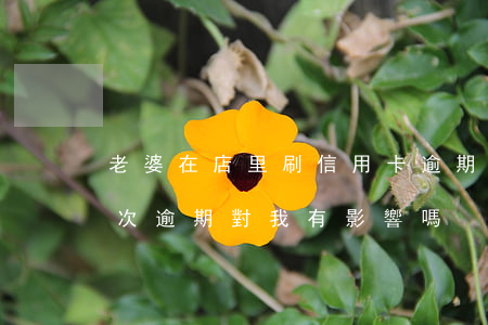 老婆在店里刷信用卡逾期了(我老婆信用卡多次逾期對我有影響嗎)