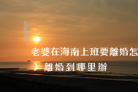 老婆在海南上班要離婚怎么辦(南海區(qū)離婚到哪里辦)