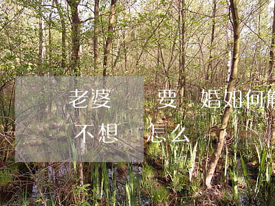 老婆堅決要離婚 如何解決(老婆堅決要離婚我不想離怎么辦)