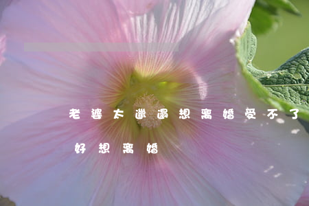 老婆太邋遢想离婚受不了(老公邋遢至极,真的好想离婚)