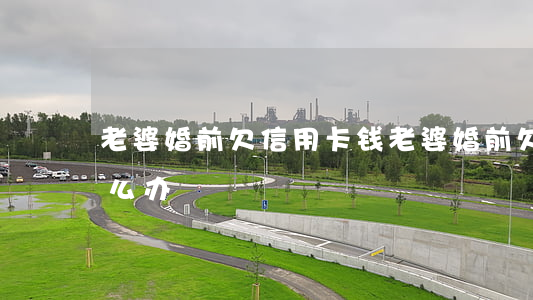 老婆婚前欠信用卡钱(老婆婚前欠信用卡钱怎么办)