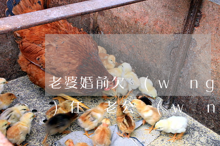老婆婚前欠網(wǎng)貸我有責(zé)任嗎(老公網(wǎng)貸欠款老婆要一起還嗎)