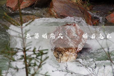 老婆婚前欠錢離婚后怎么辦