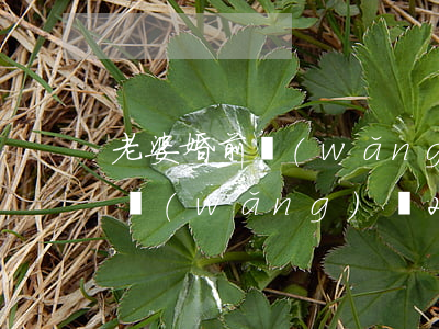 老婆婚前網(wǎng)貸欠了30萬(老婆網(wǎng)貸20萬老公離婚)