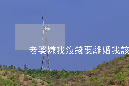 老婆嫌我沒錢要離婚我該怎么辦