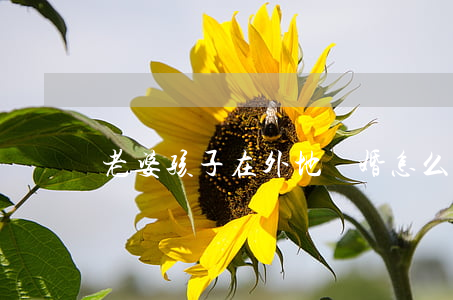 老婆孩子在外地離婚怎么辦