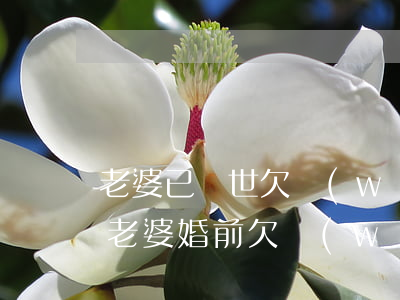 老婆已過世欠網(wǎng)貸老公要還嗎(老婆婚前欠網(wǎng)貸我有責(zé)任嗎?)