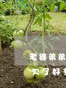老婆弟弟欠了網(wǎng)貸(老婆瞞著我欠了好多網(wǎng)貸犯法嗎)